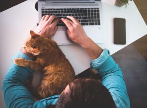 A top down view of a man typing on their laptop as their cat lays on their arm. This represents the convenience of online therapy in Iowa. Contact an online therapist to learn more about online therapy for depression in Iowa and other services. Learn more about online therapy in West Des Moines, IA today! 